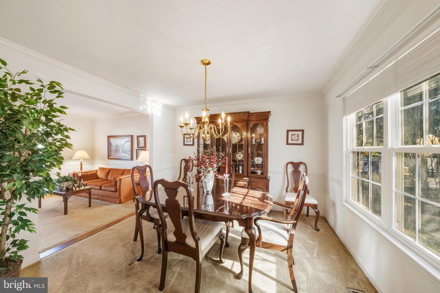 20 Allenhurst Court photo 25