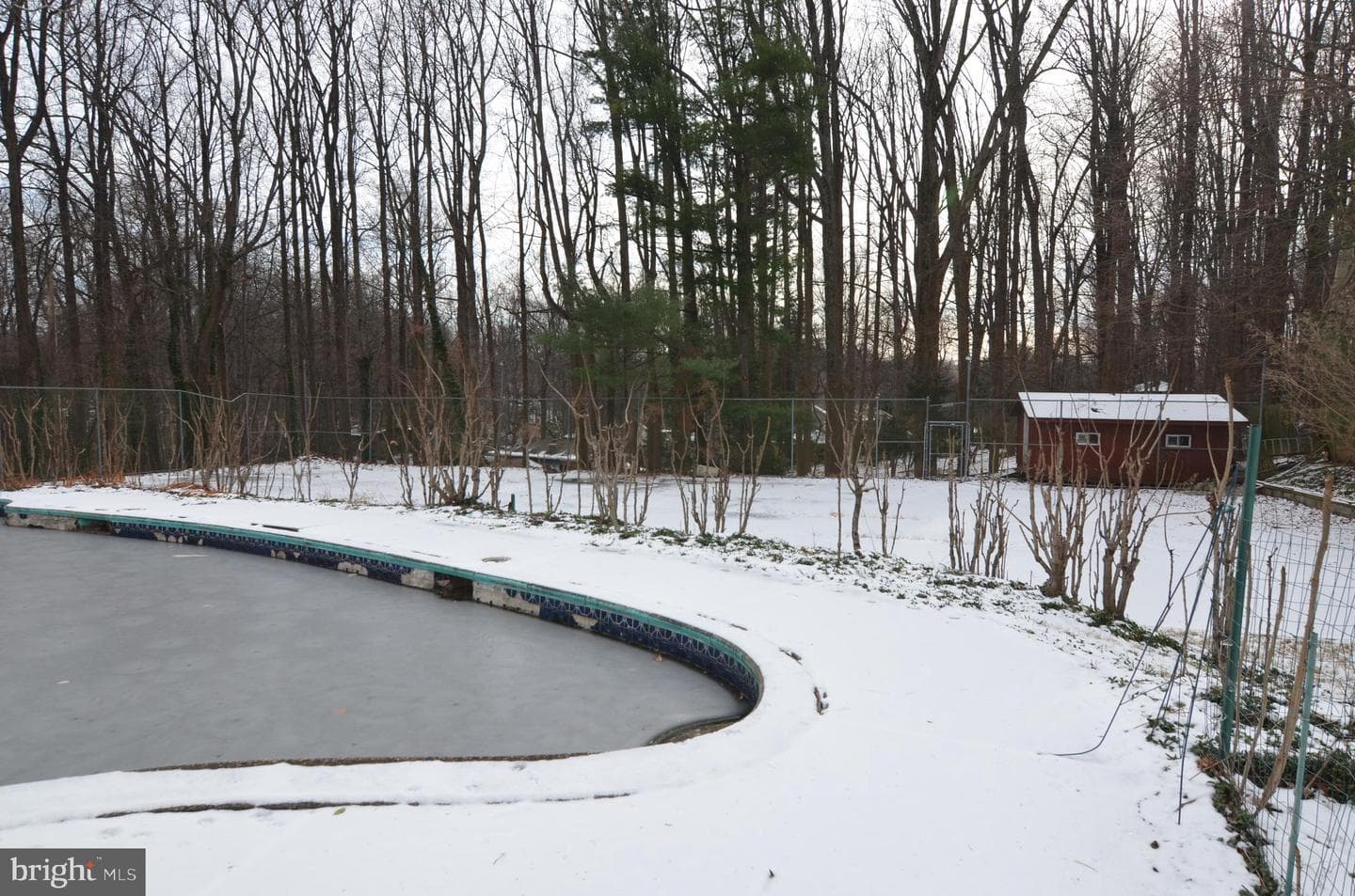 206 Shaw Avenue photo 9