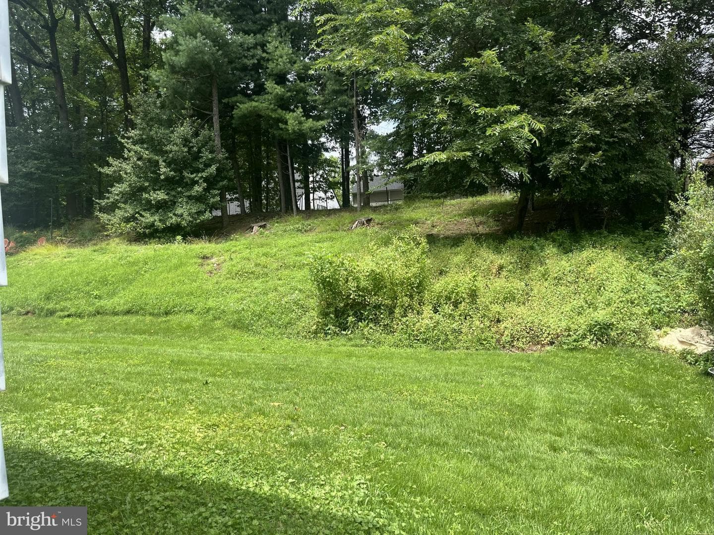 713 Horton Drive photo 40