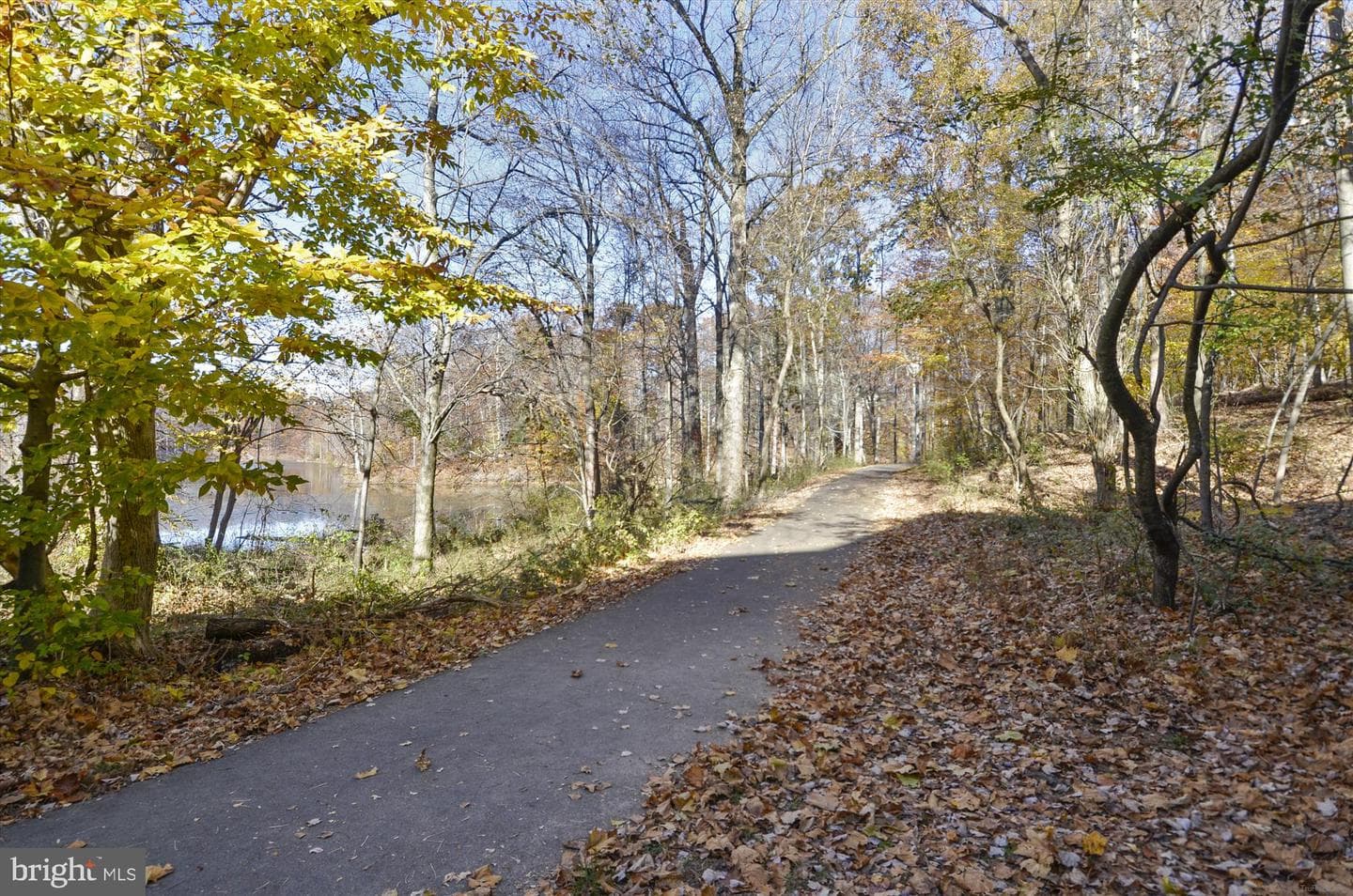 20406 Shore Harbour Drive #4-F photo 46