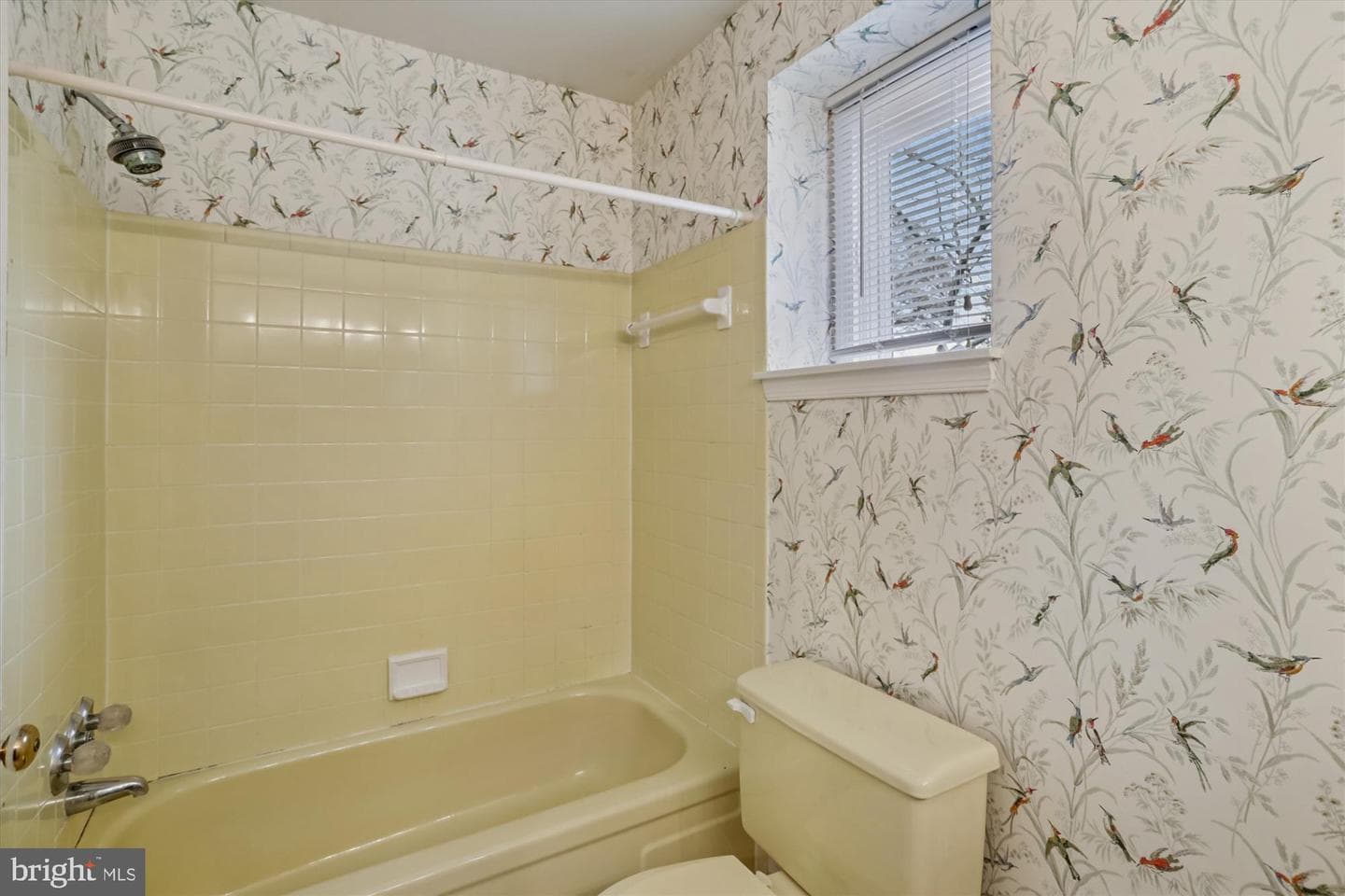 11508 Hornfair Court photo 43