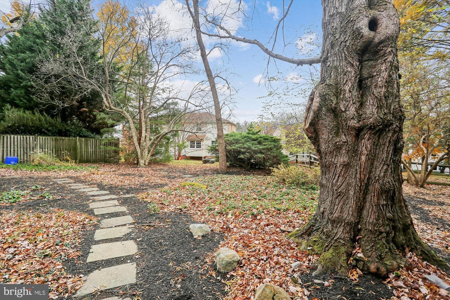 11508 Hornfair Court photo 7