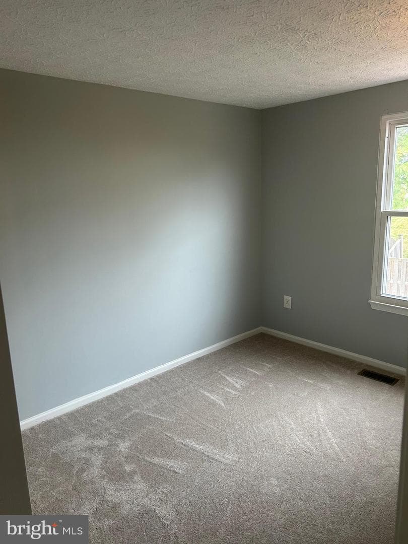 11421 Flowerton Place photo 14