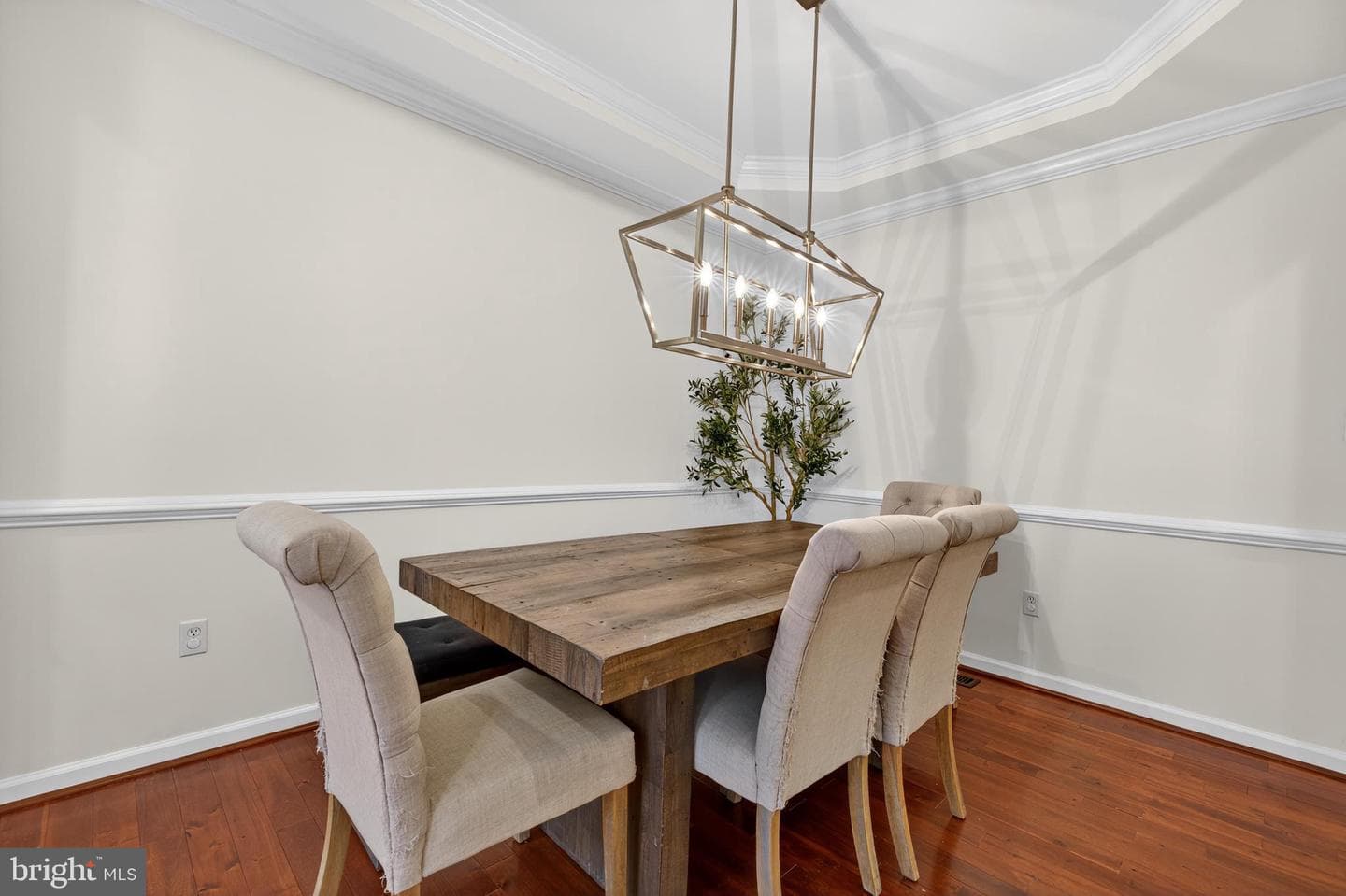 444 Clayhall Street photo 7
