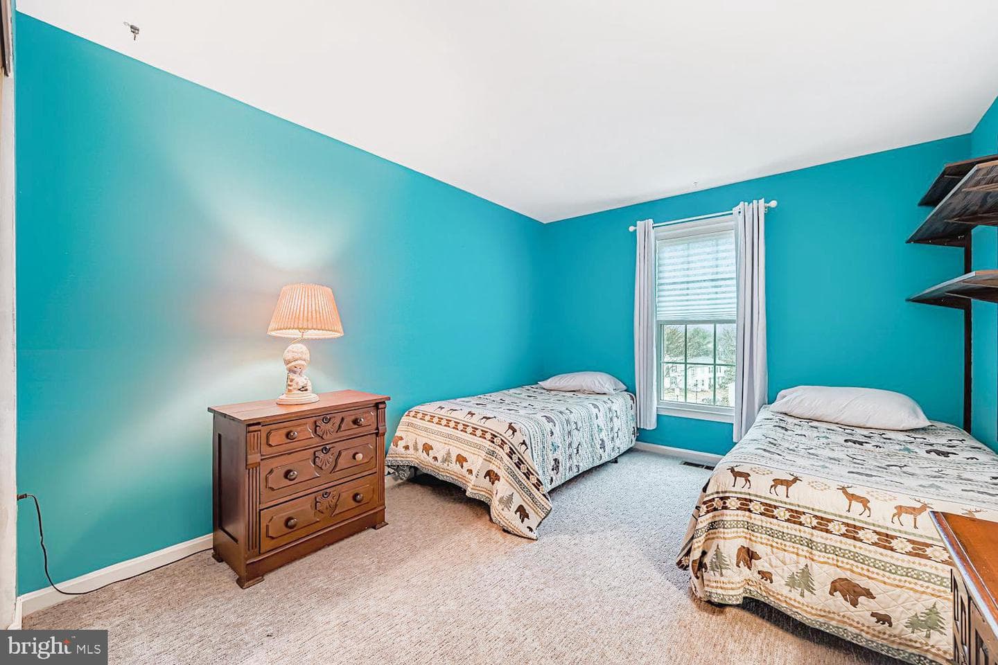13229 Country Ridge Drive photo 19