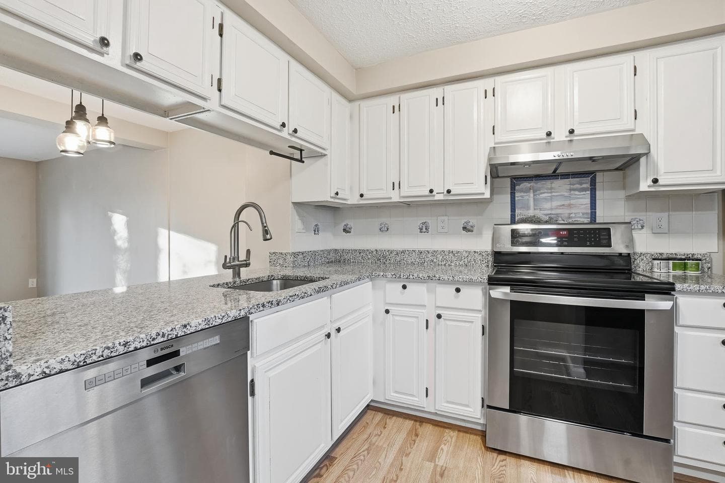 12462 Valleyside Way photo 8