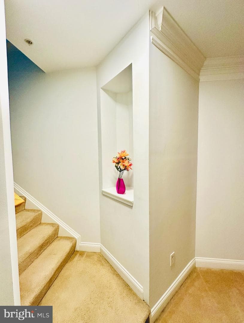 2209 Kimball Place photo 18