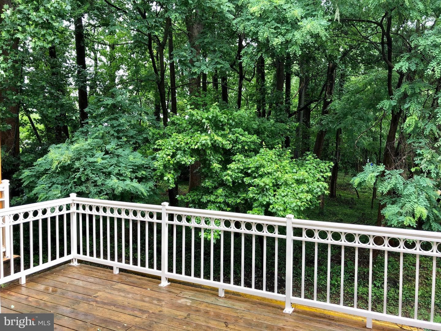2209 Kimball Place photo 43