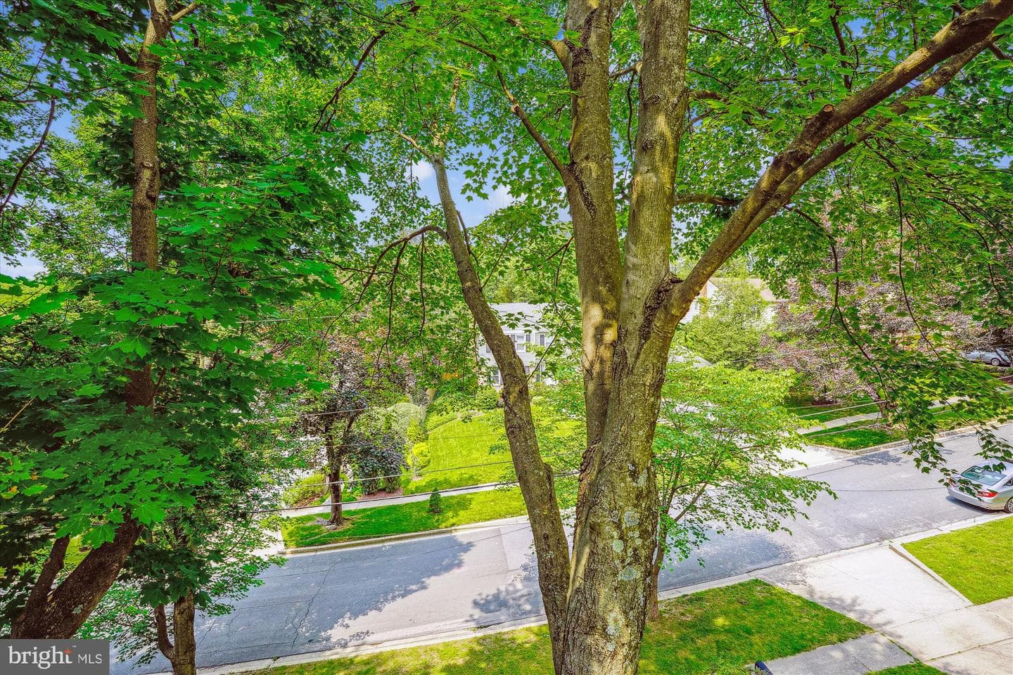 9803 Hill Street photo 61