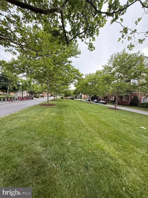 302 King Farm Boulevard #30208 photo 42