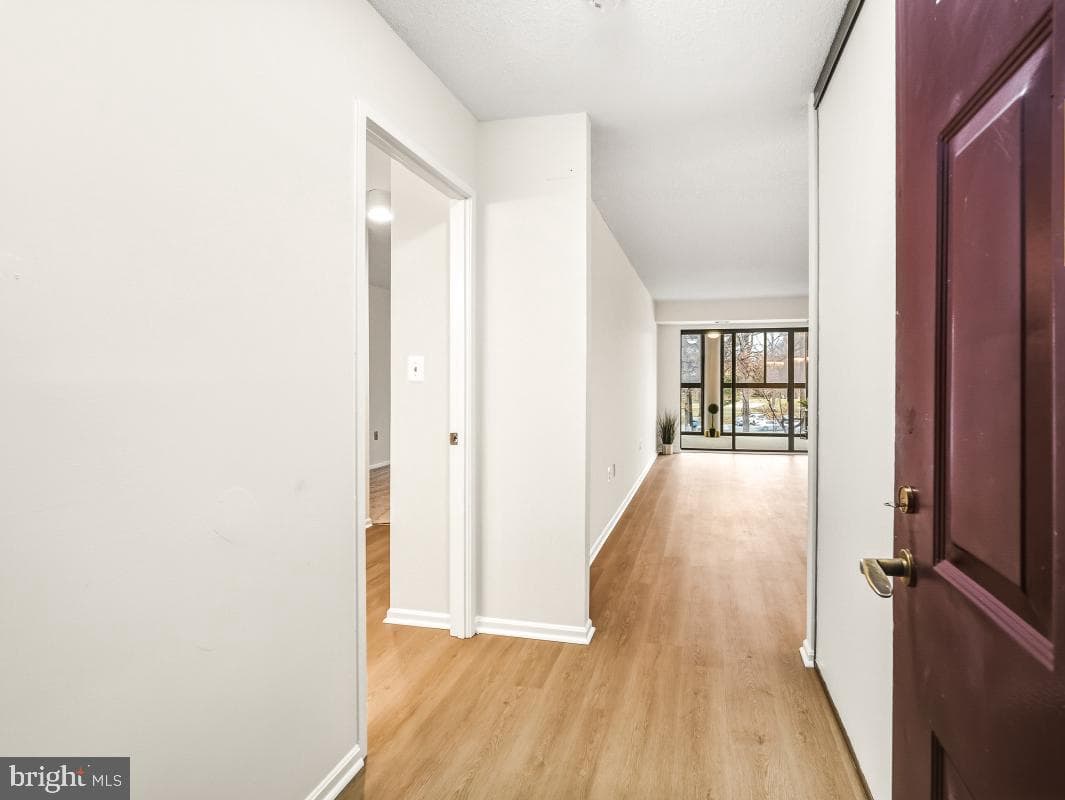 15107 Interlachen Drive #2-215 photo 2