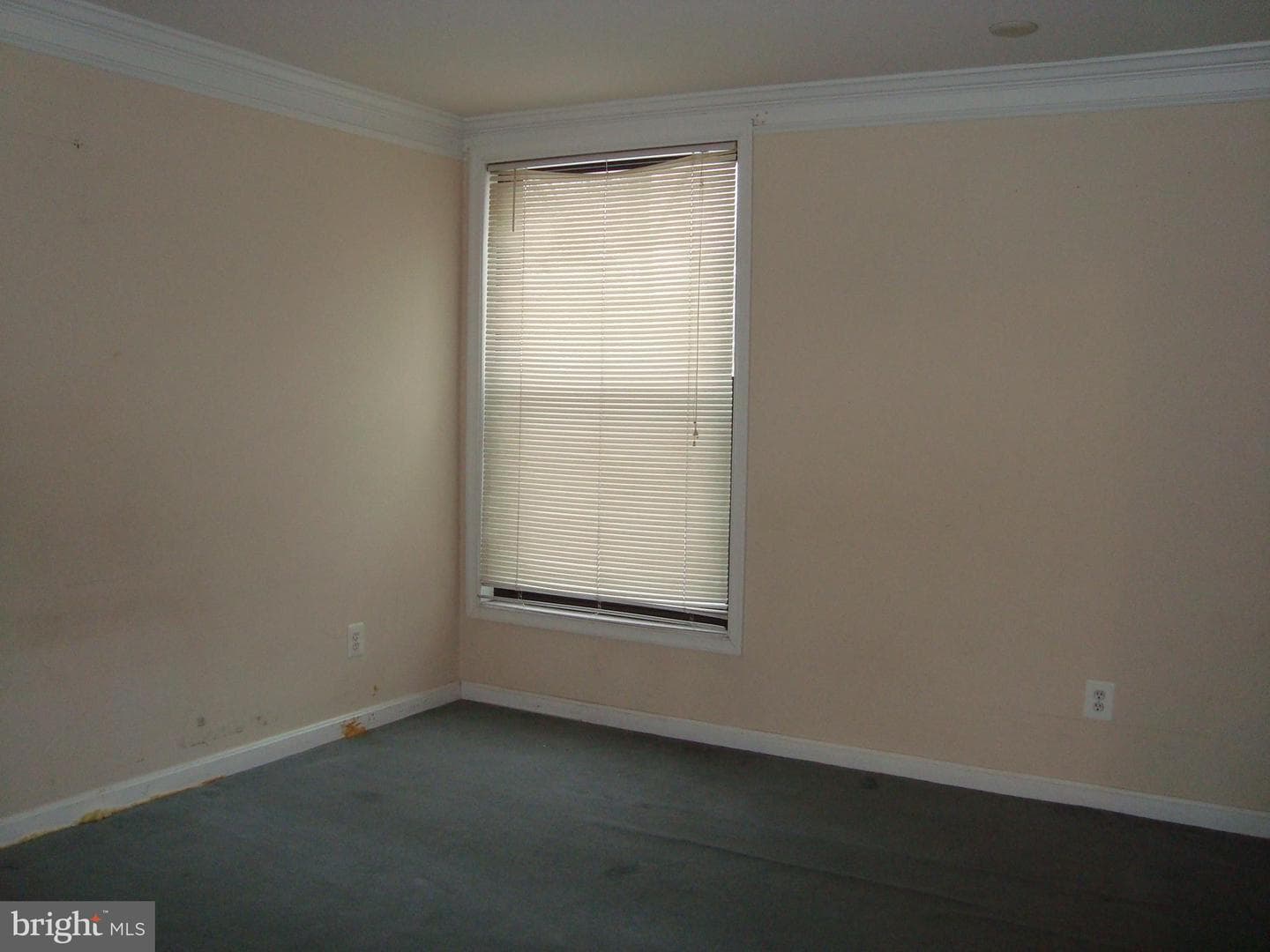 102 Duvall Lane #6-202 photo 21