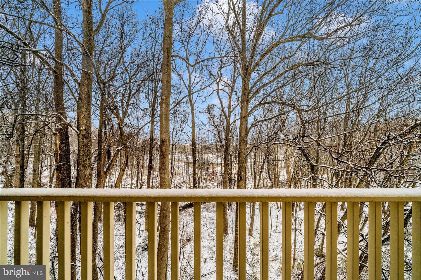 15305 Diamond Cove Terrace #7-C photo 44