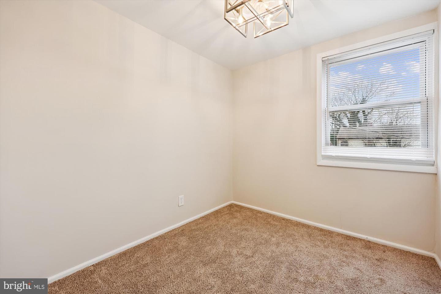 3407 Floral Street photo 26