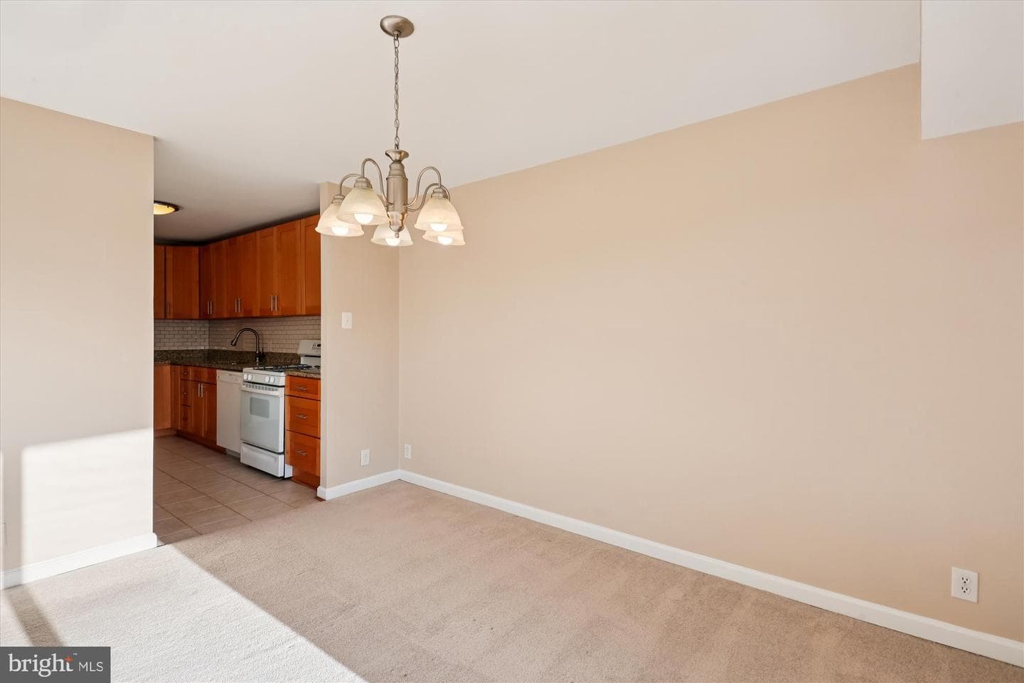 9039 Sligo Creek Parkway #806 photo 10
