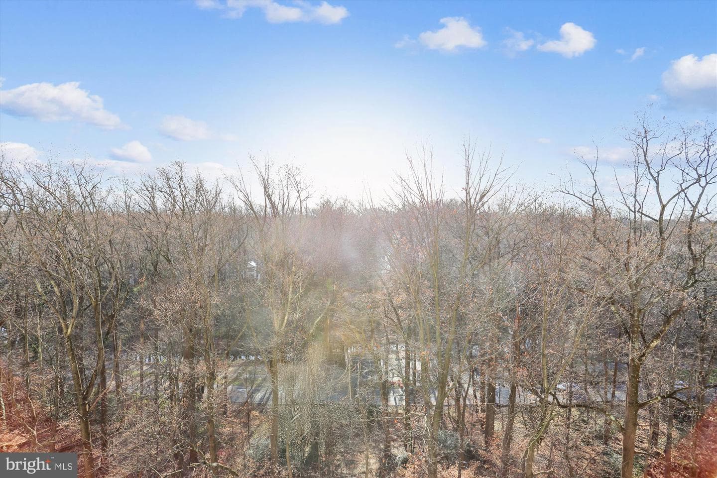 9039 Sligo Creek Parkway #806 photo 20