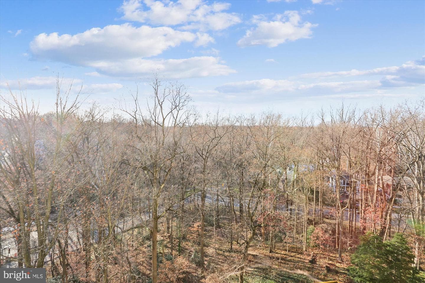 9039 Sligo Creek Parkway #806 photo 23