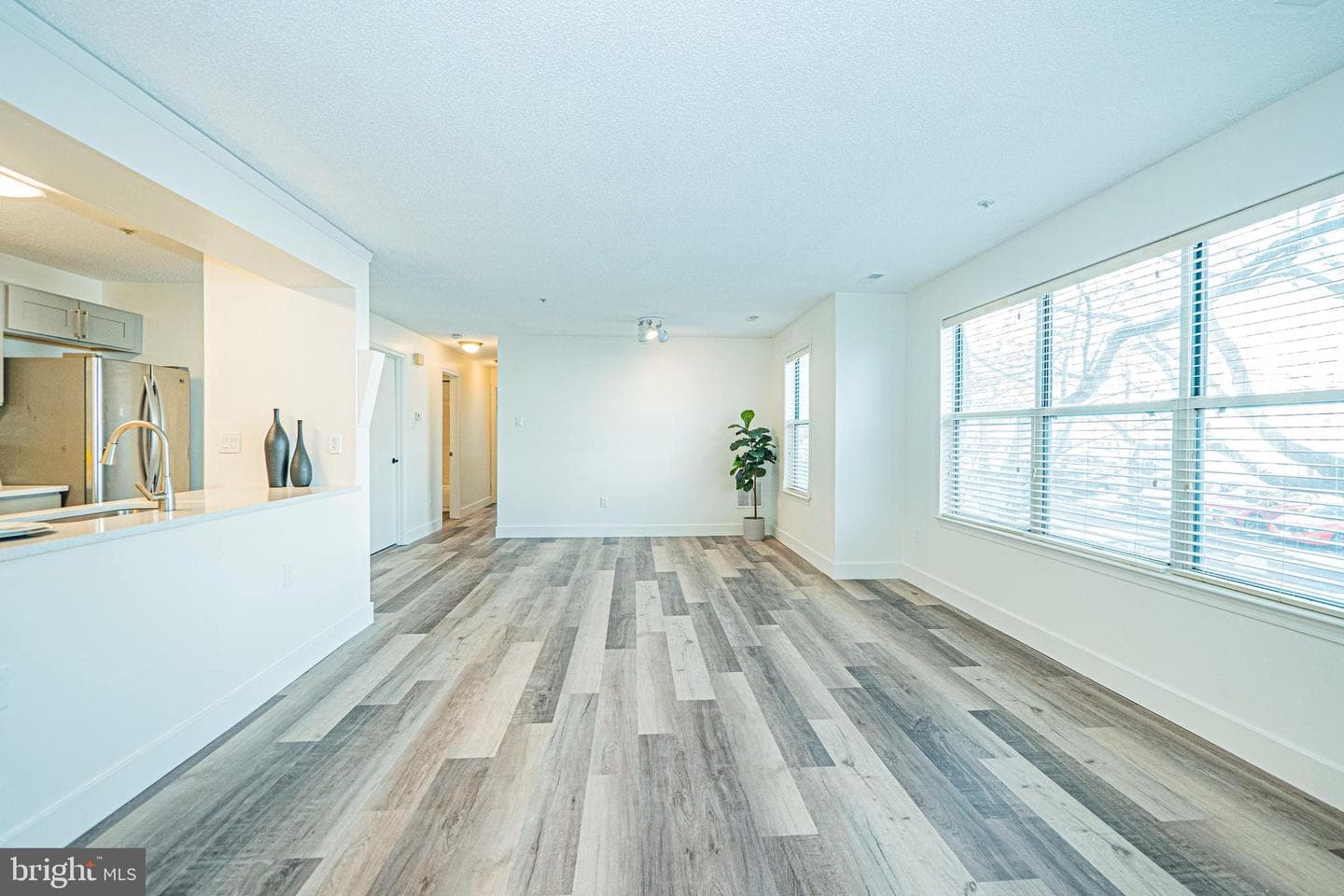 2600 Camelback Lane #6 photo 4