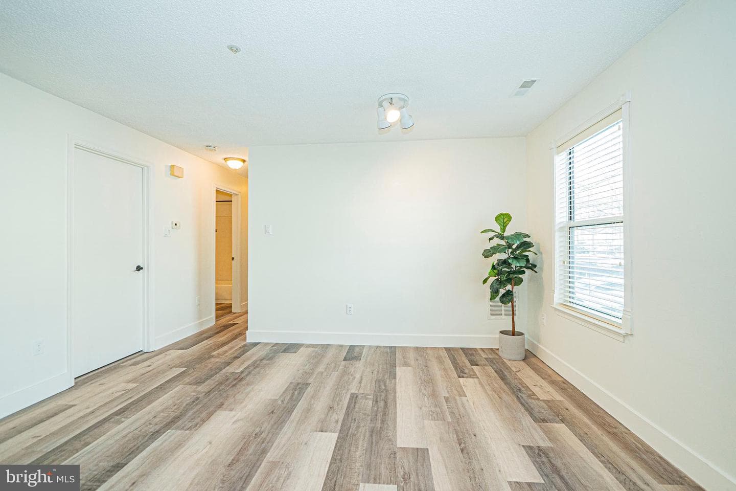 2600 Camelback Lane #6 photo 7