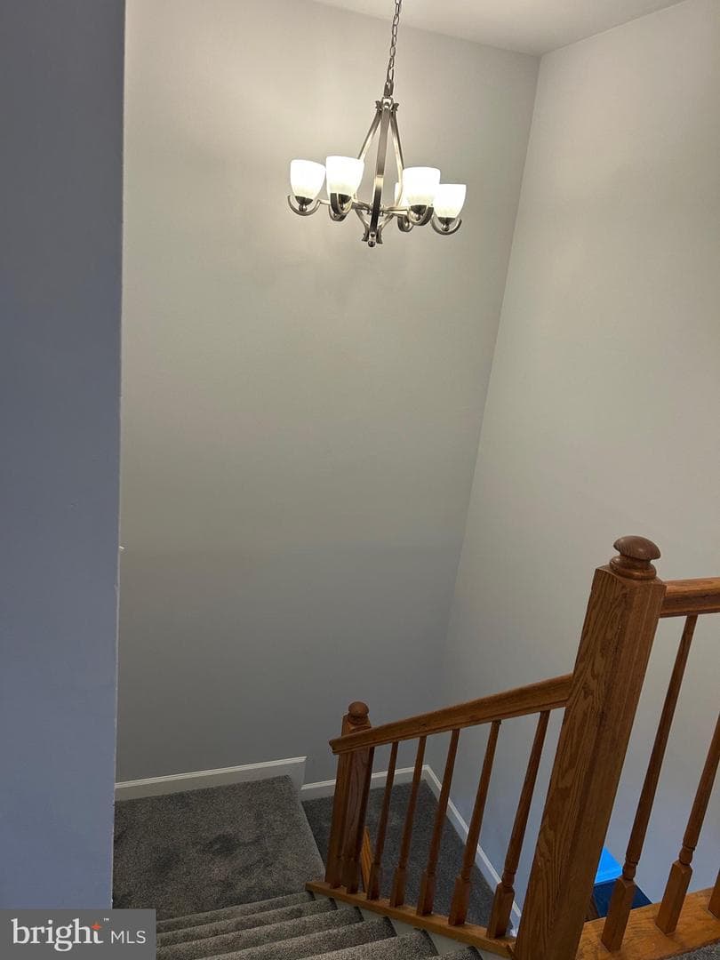 25 Drumcastle Court photo 12