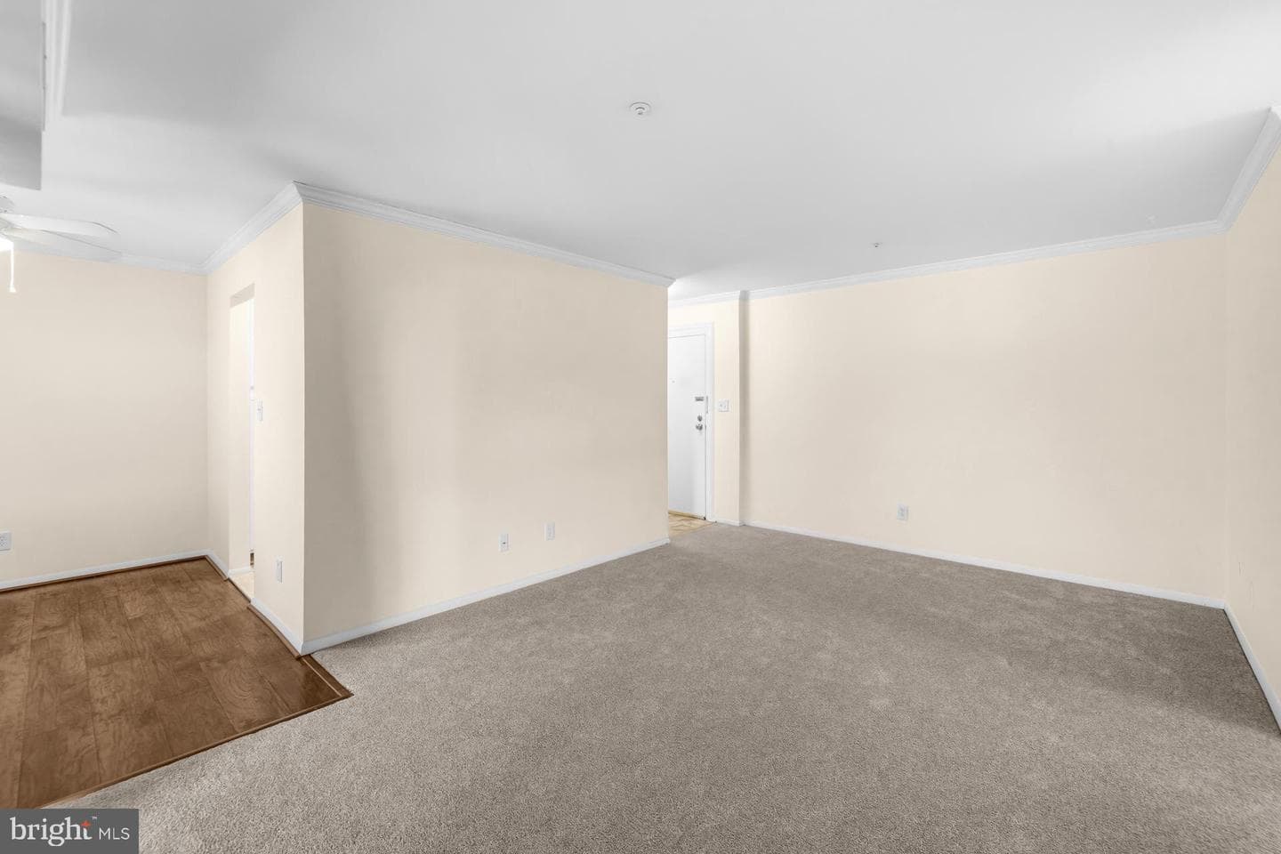 7911 Coriander Drive #302 photo 6
