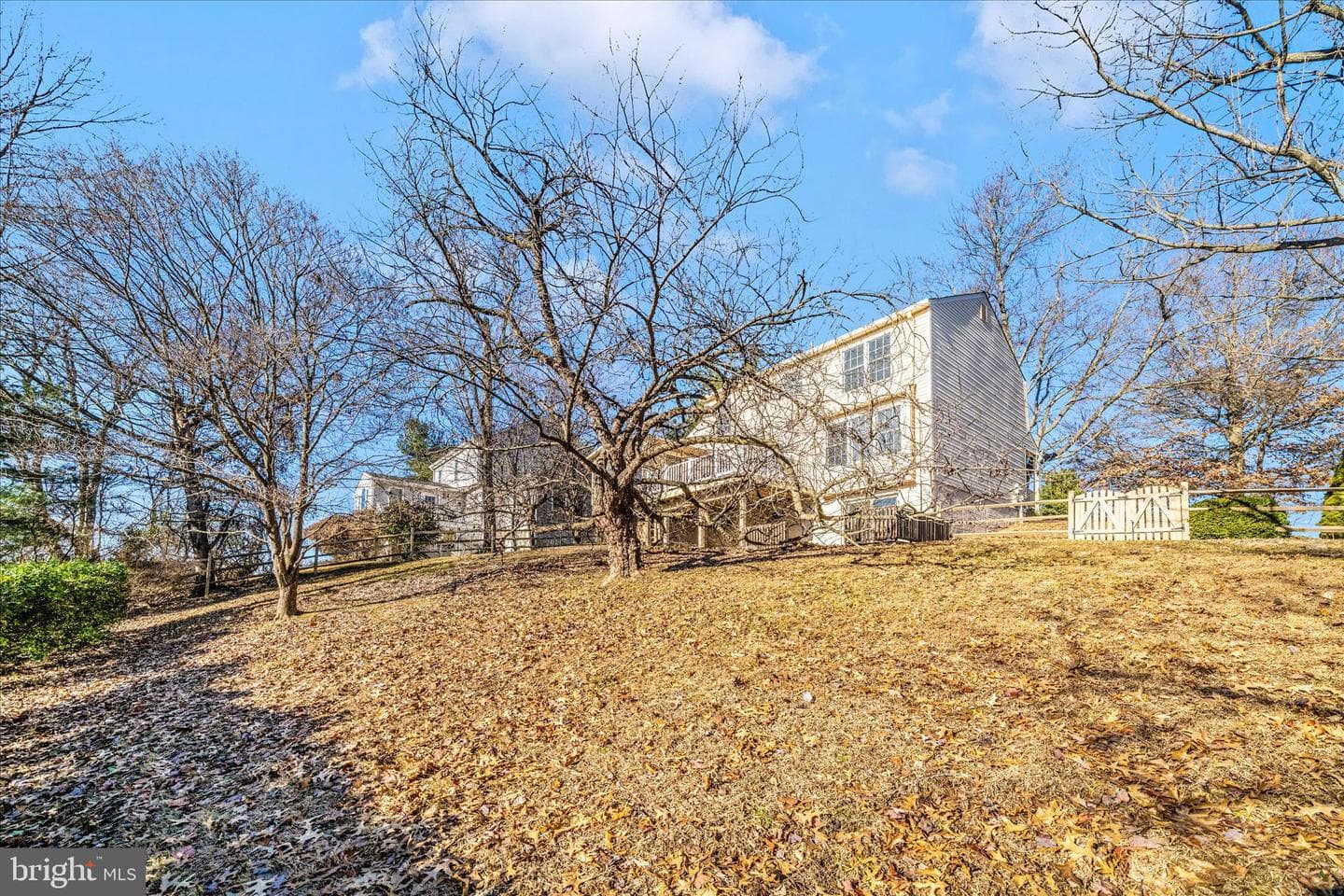 24005 Preakness Drive photo 49