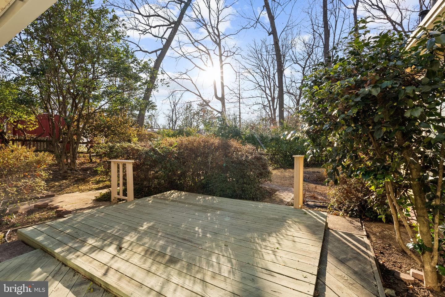 11702 College View Drive photo 38
