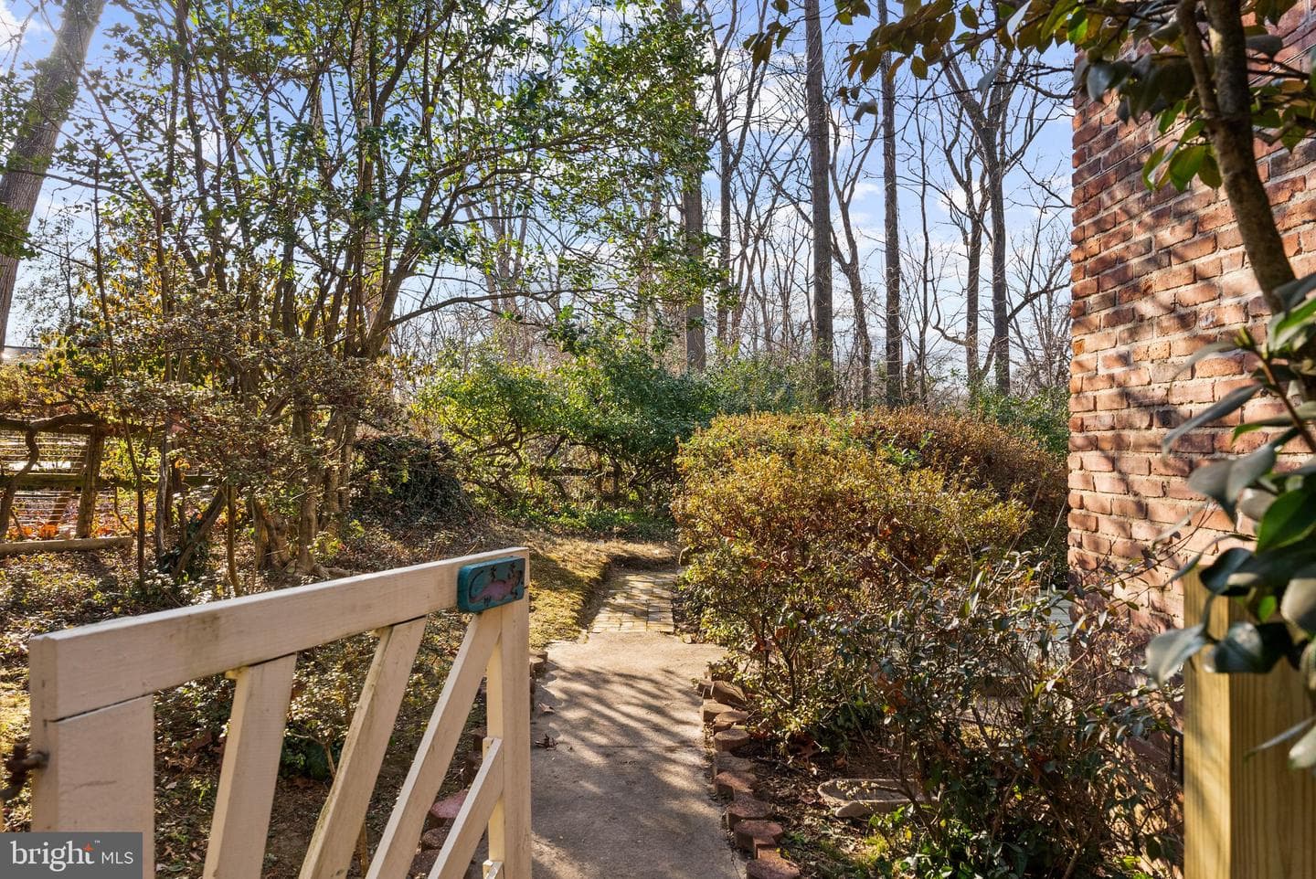 11702 College View Drive photo 42