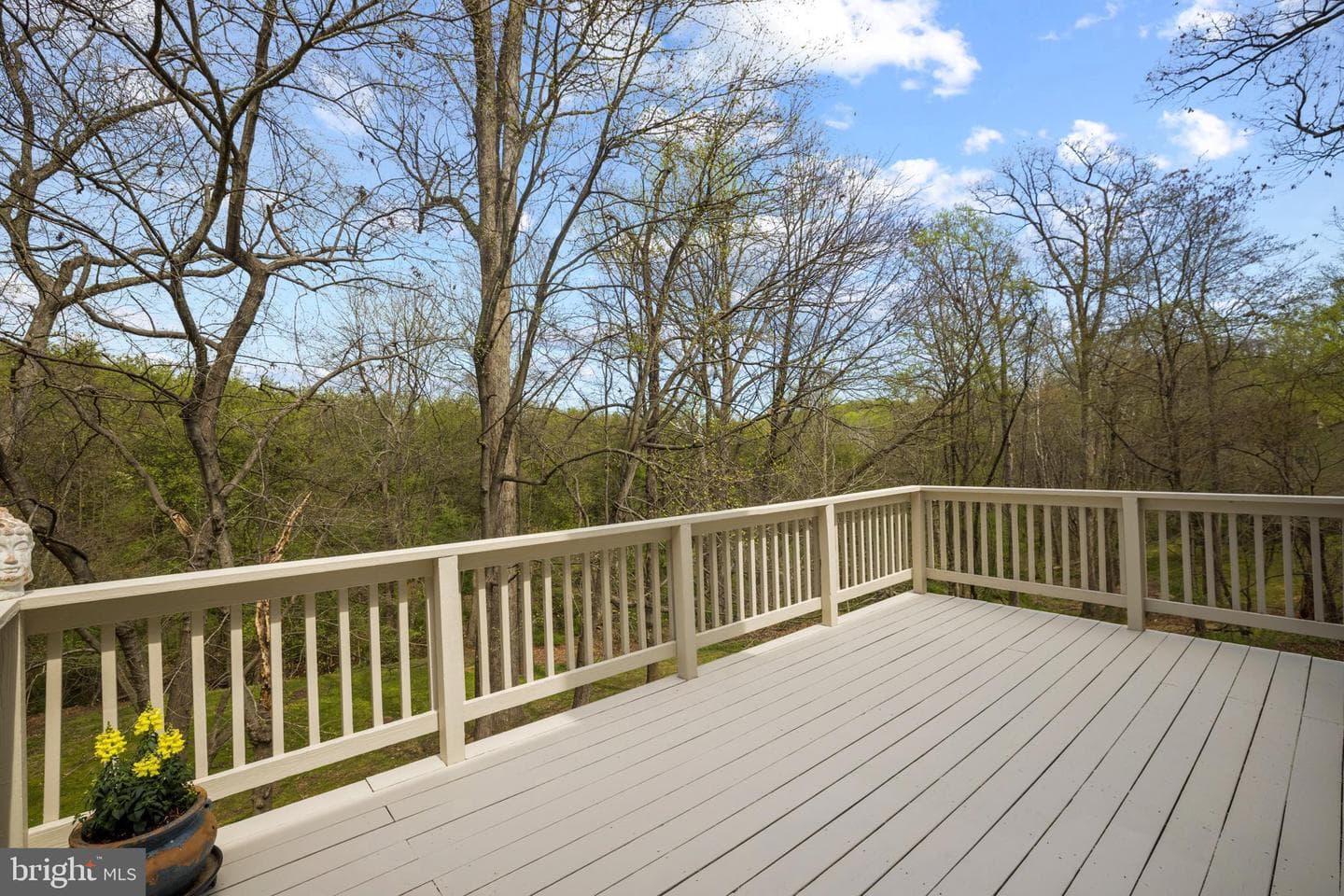 11719 Summer Oak Drive photo 9