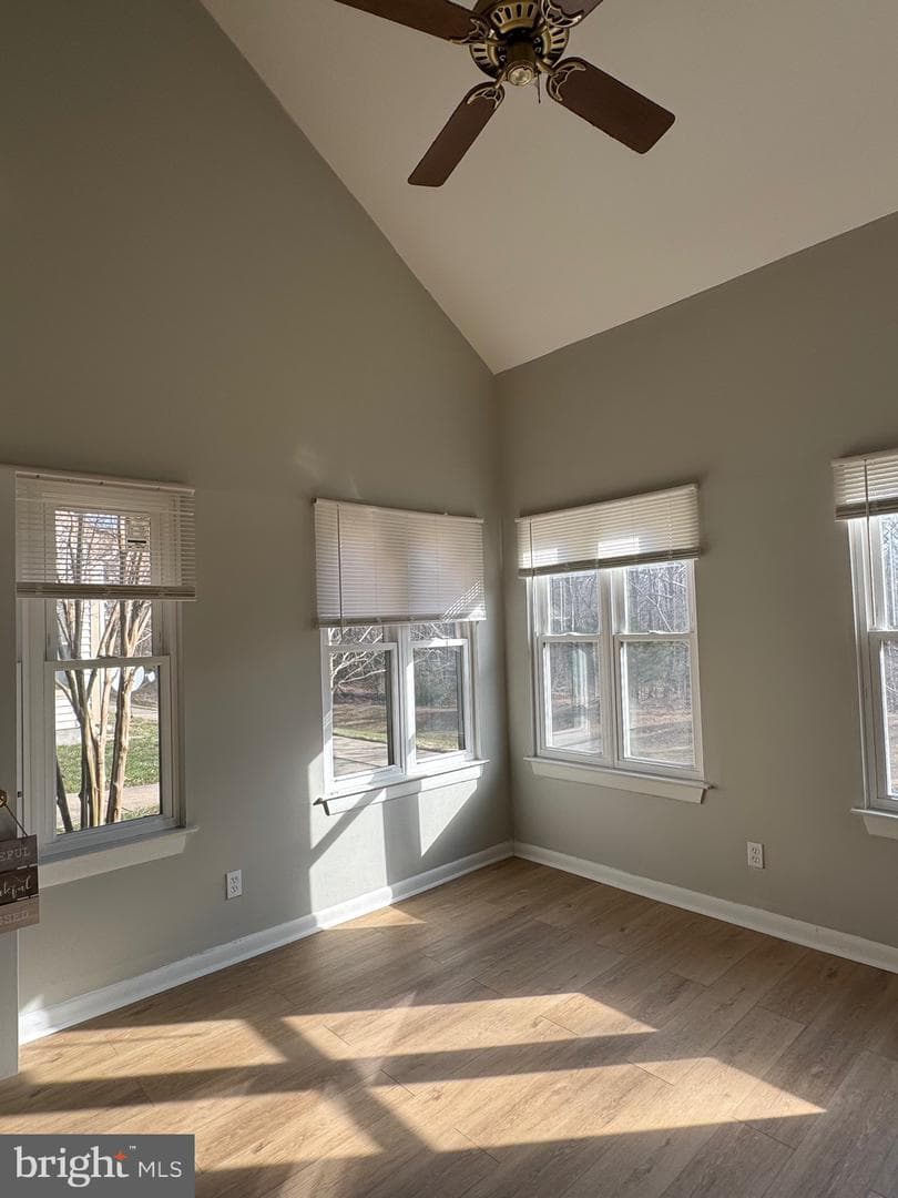 13409 Shady Knoll Drive #113 photo 13