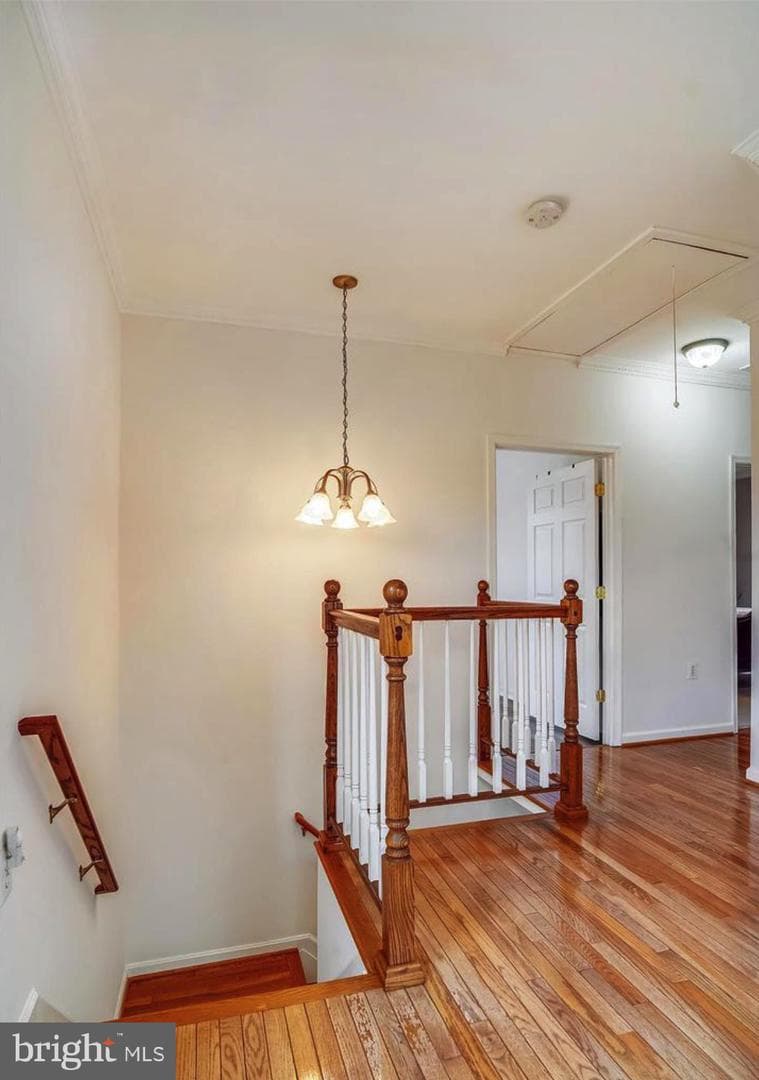 12304 Charles Road photo 9