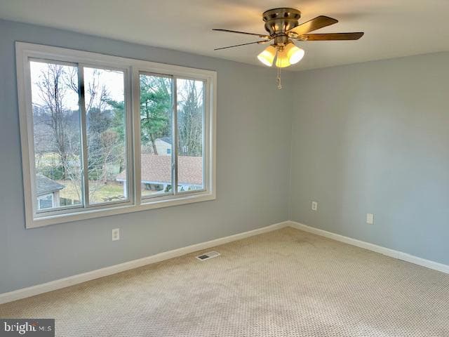 19229 Saint Johnsbury Lane photo 18