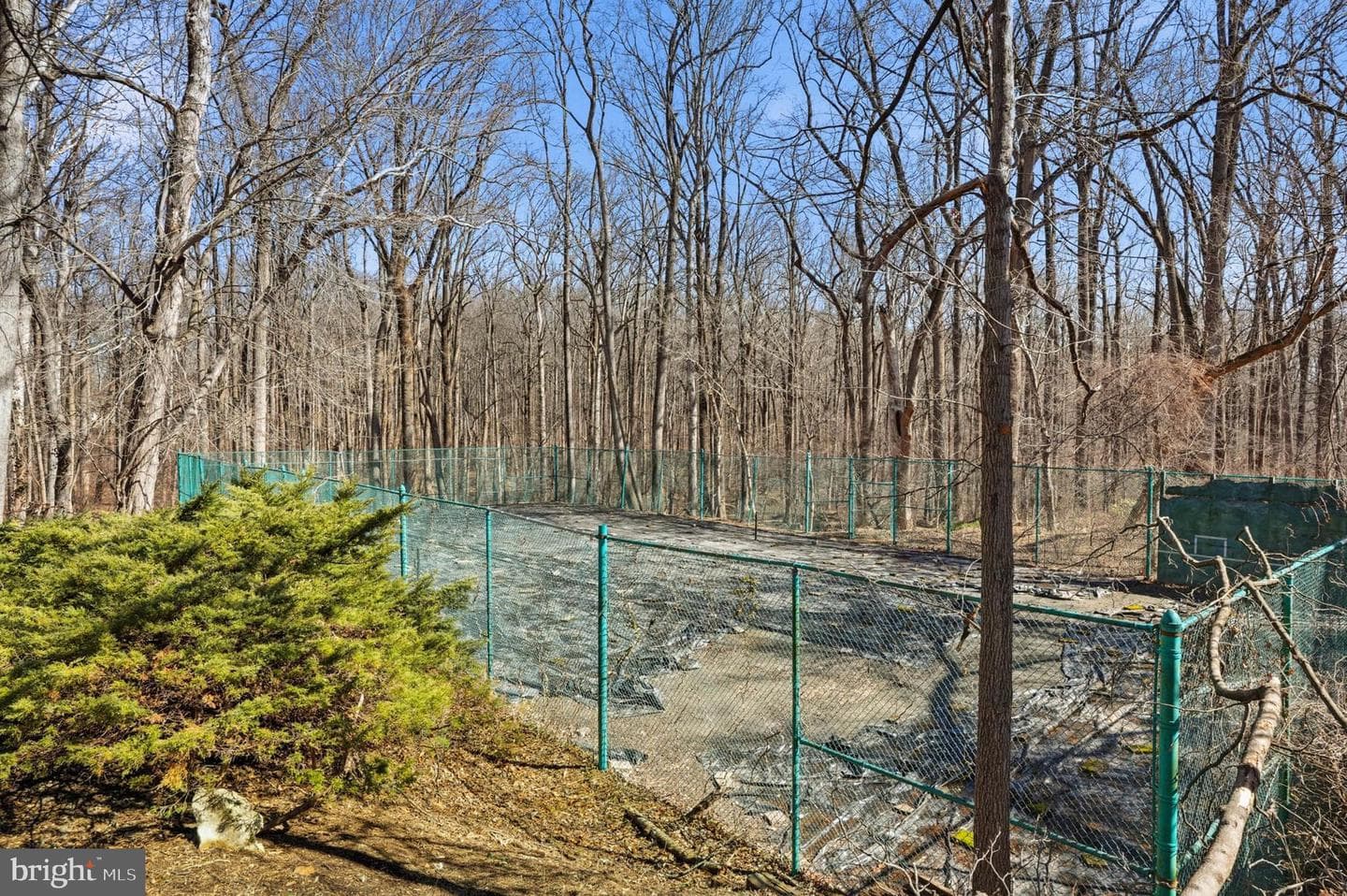 14917 Claude Lane photo 45