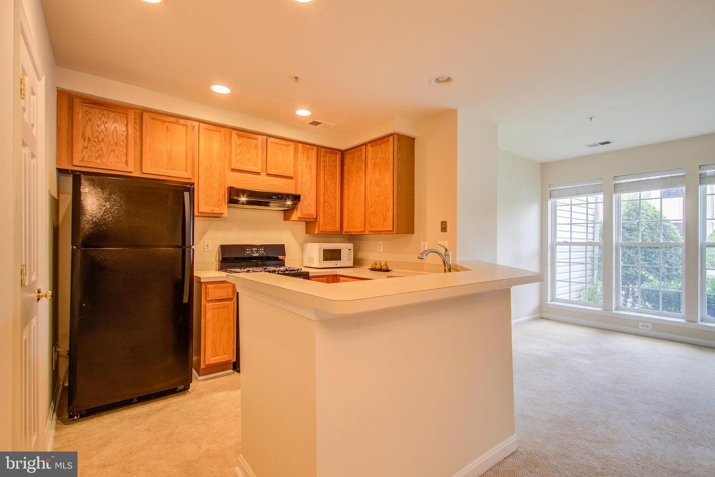 305 Prettyman Drive #85 photo 17
