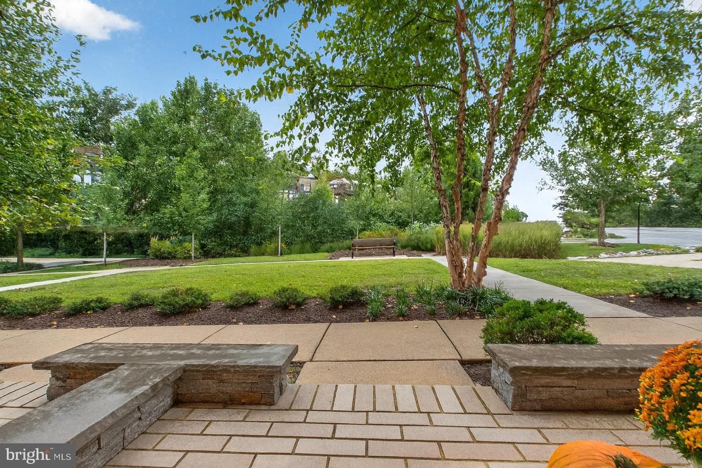 432 Barlow Place photo 59