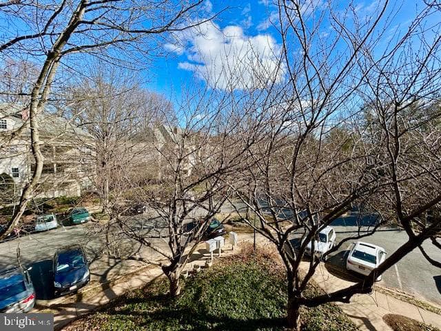 15306 Diamond Cove Terrace #2b photo 18