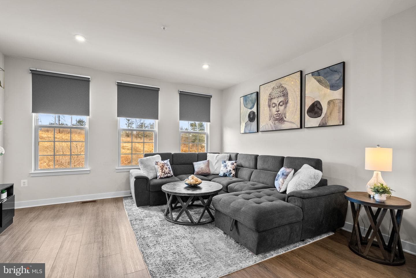 19708 Preservation Mews photo 5