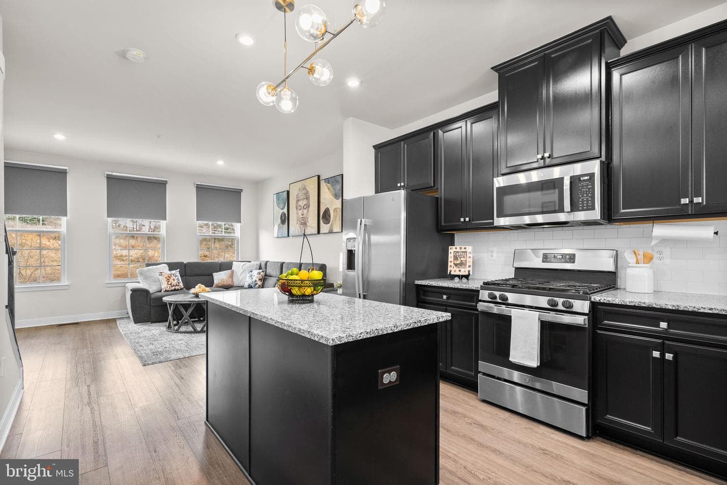 19708 Preservation Mews photo 9