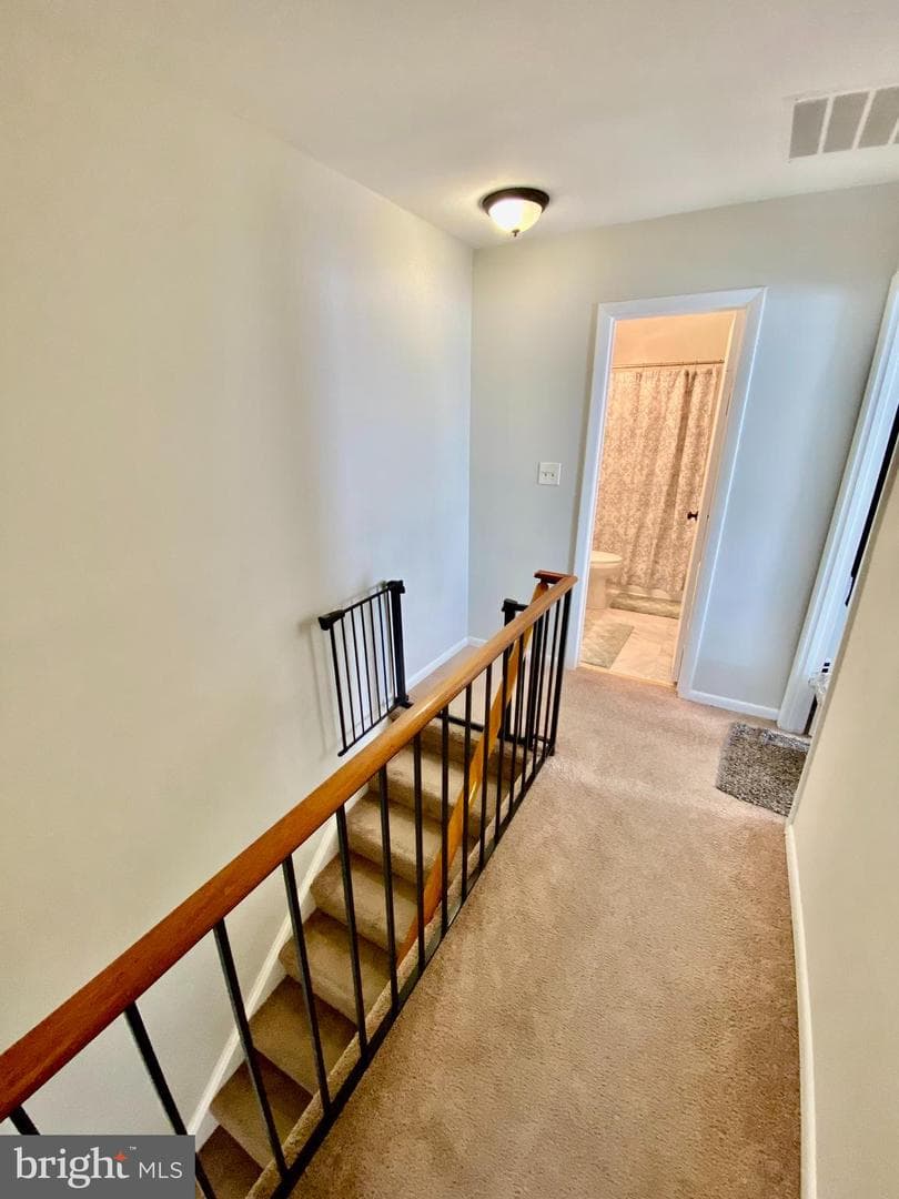 1 Appledowre Court #137 photo 20