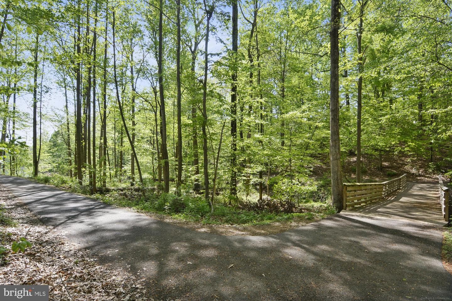 21732 Brink Meadow Lane photo 87