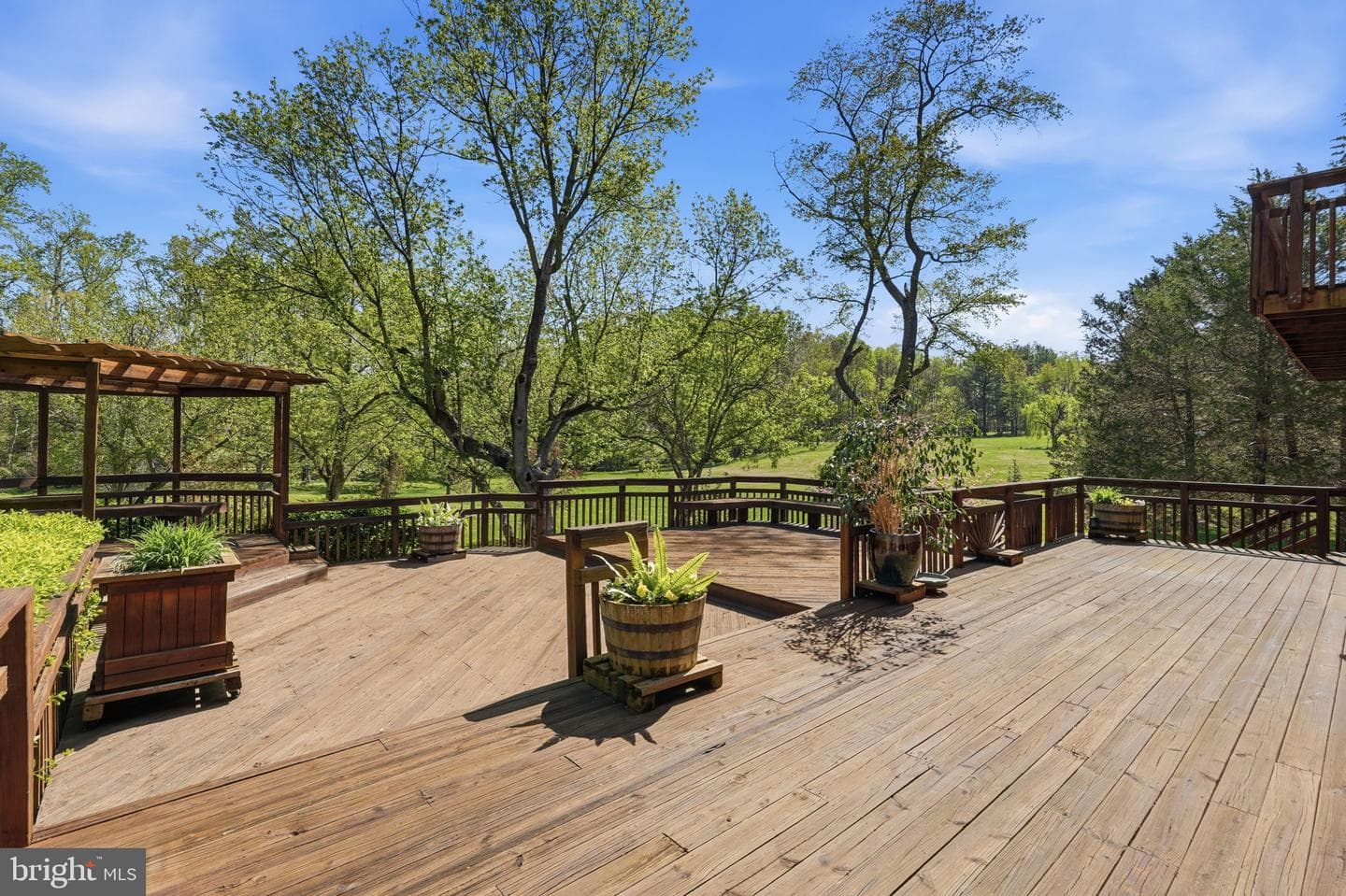 10517 Alloway Drive photo 30