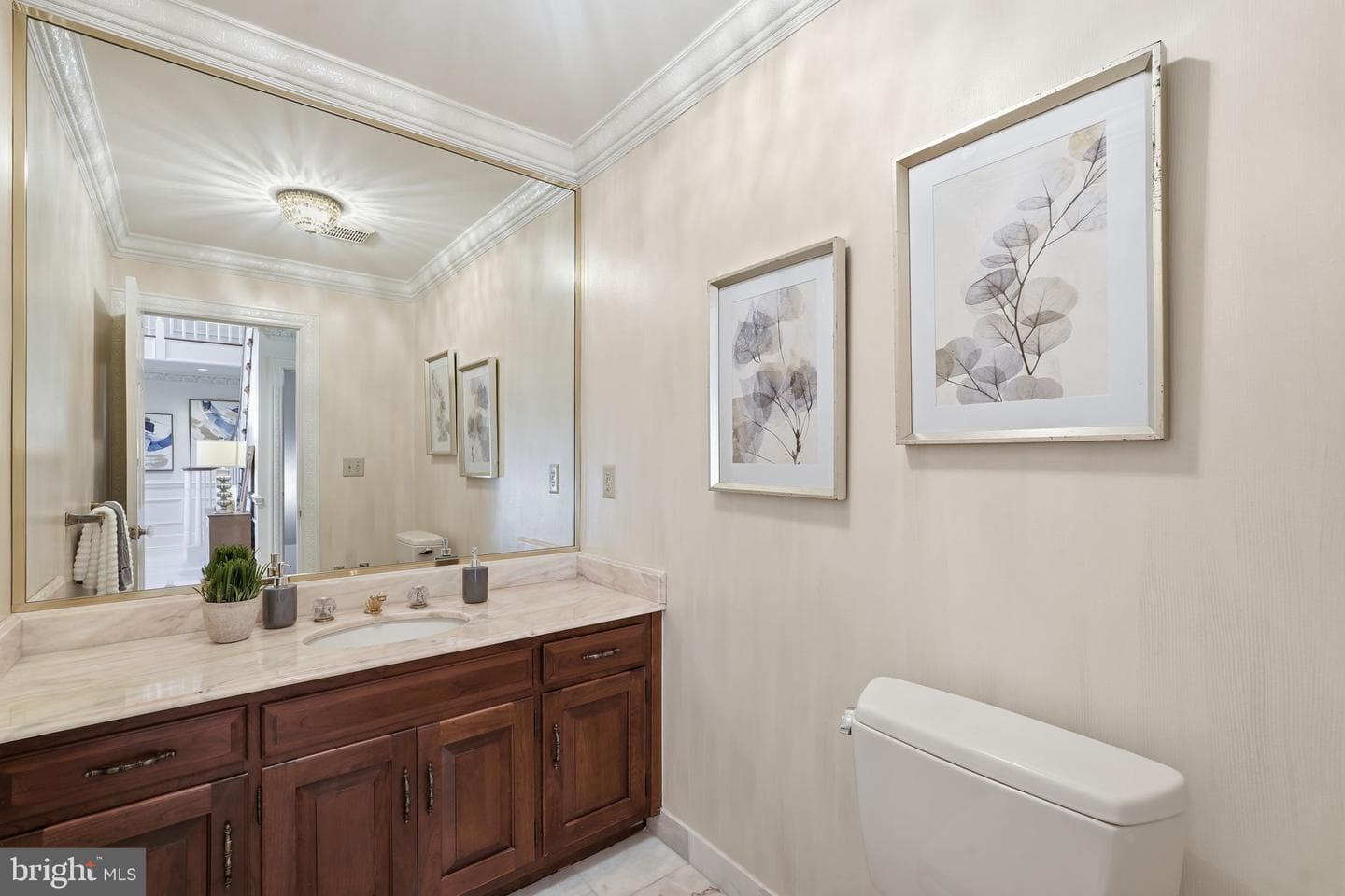 10517 Alloway Drive photo 34