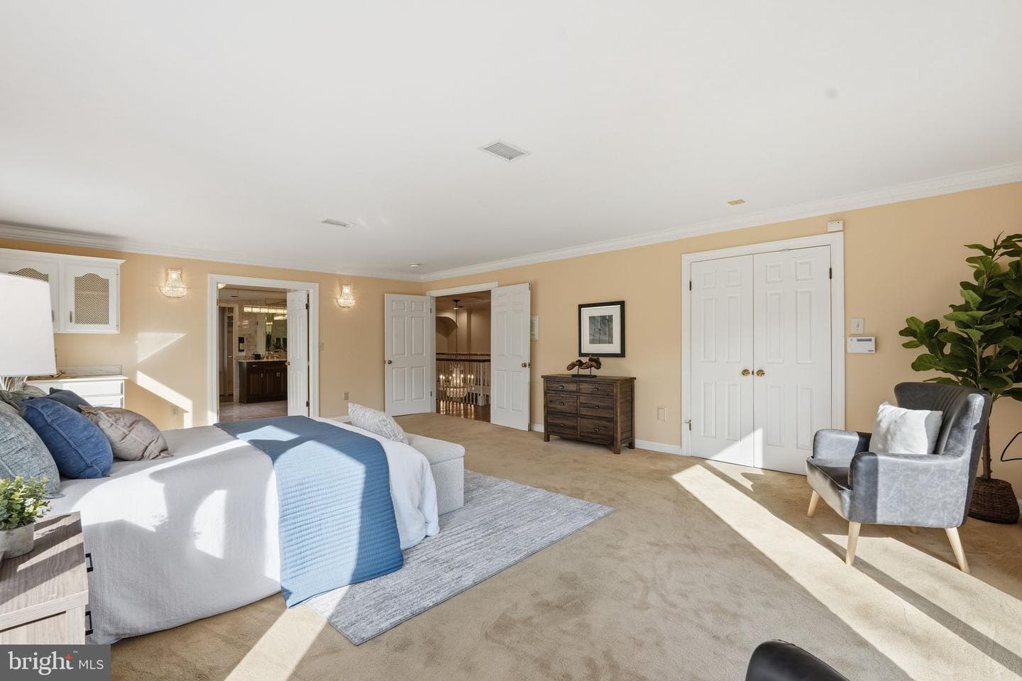 10517 Alloway Drive photo 39