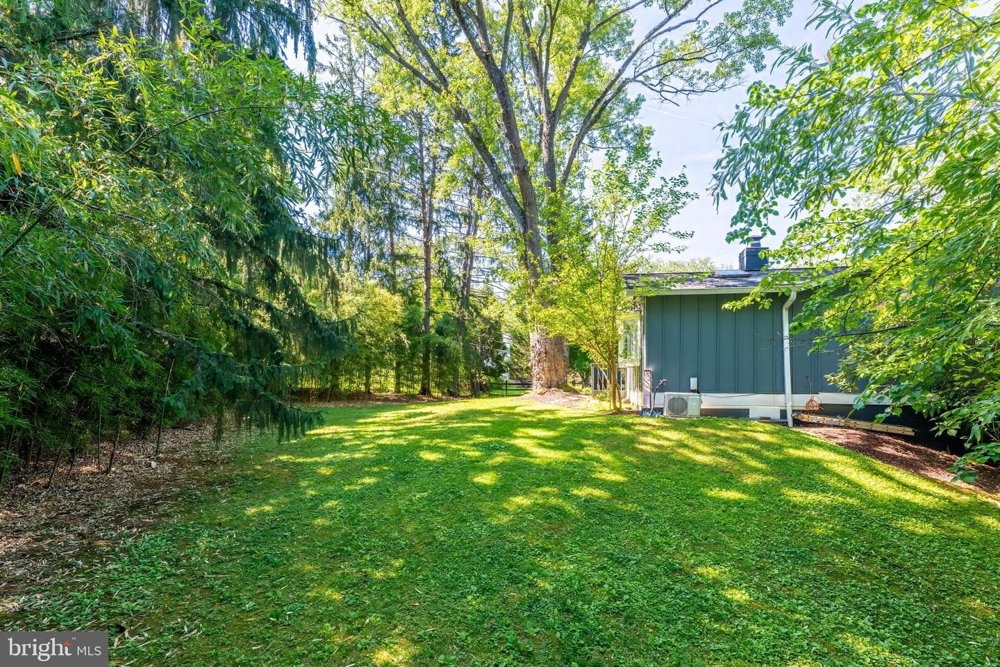 9812 Betteker Lane photo 30