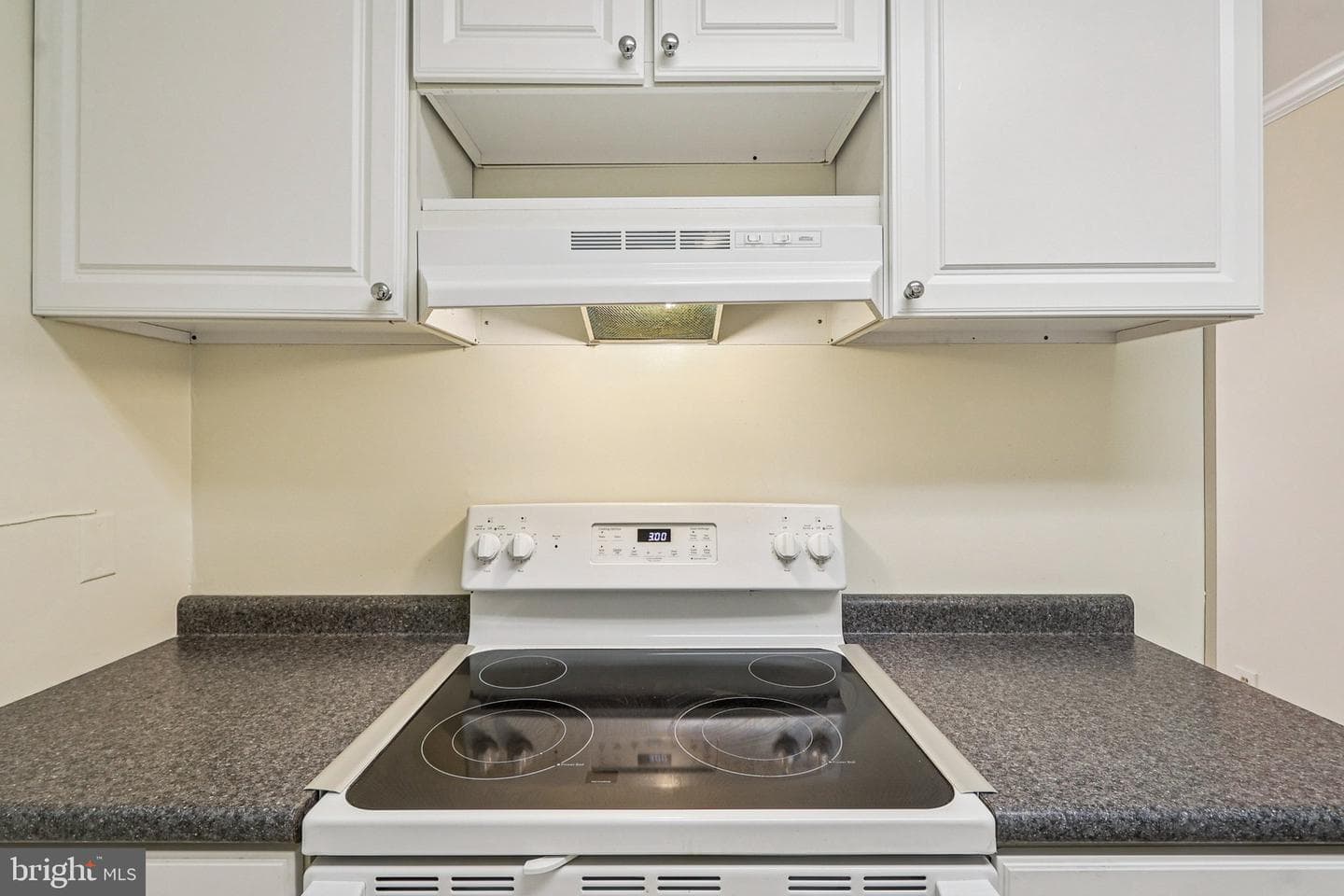 15004 Candover Court #278d photo 22