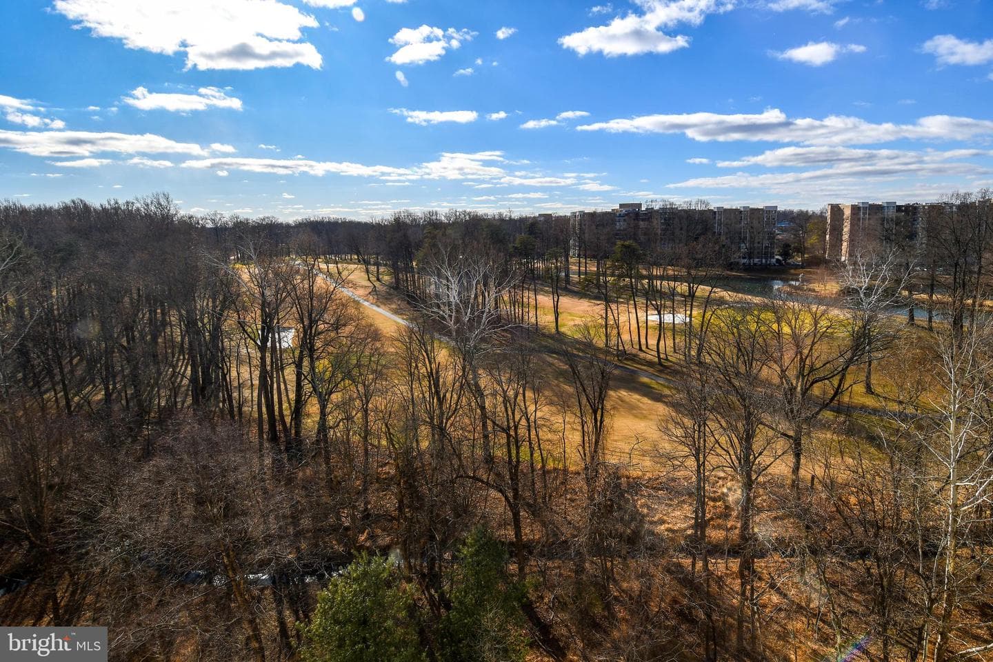 3100 N Leisure World Boulevard #801 photo 15