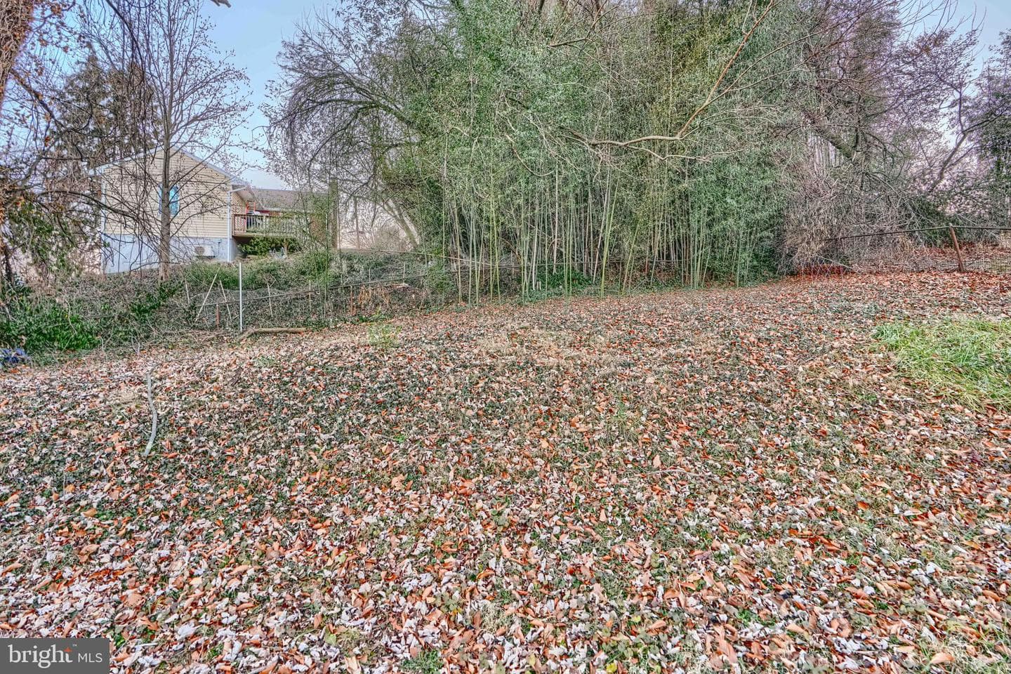 2704 Fenimore Road photo 8
