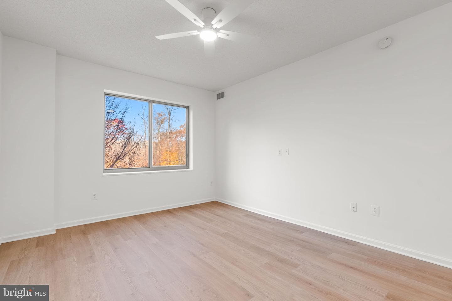 2901 S Leisure World Boulevard #233 photo 22