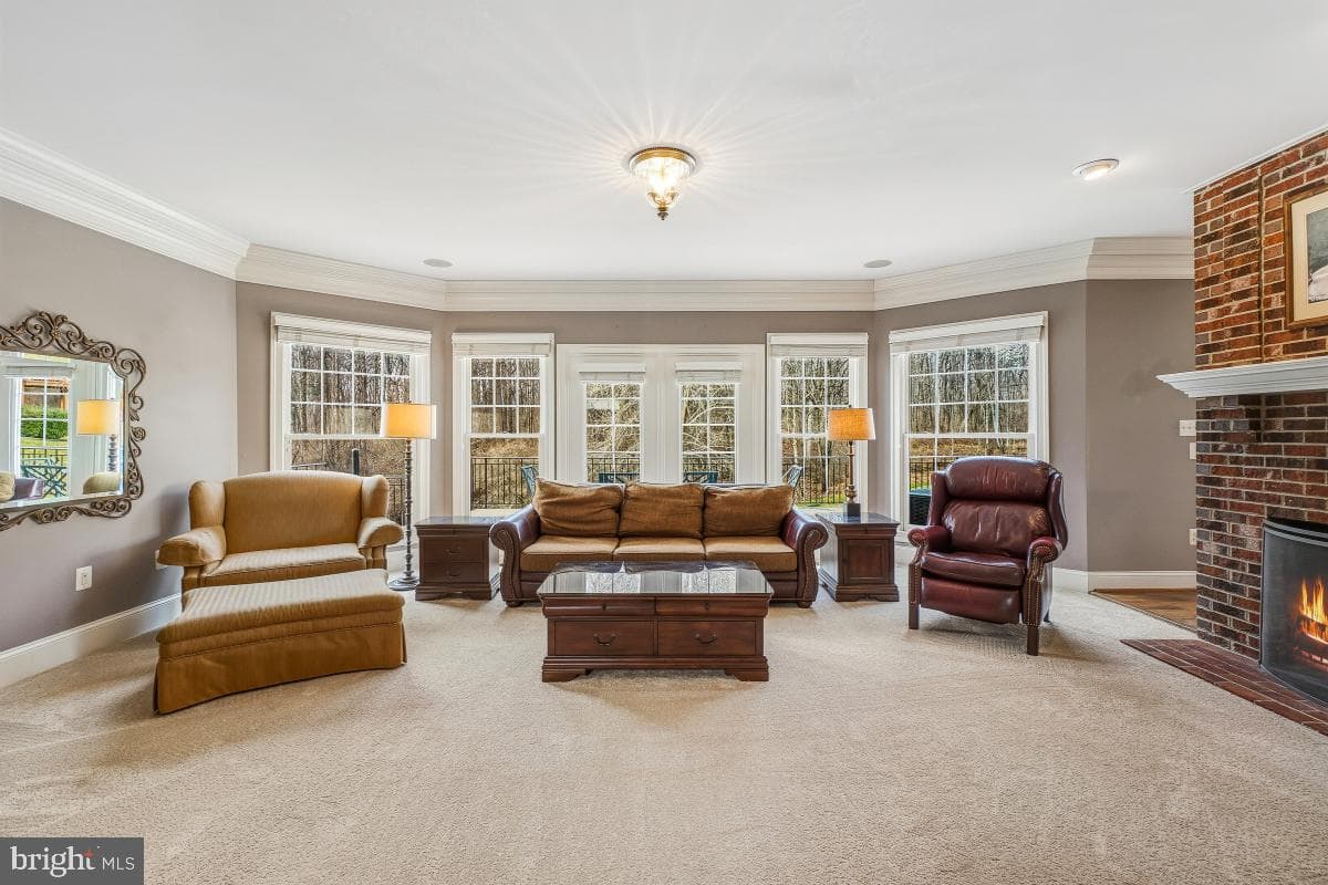 17512 Carlson Farm Court photo 18