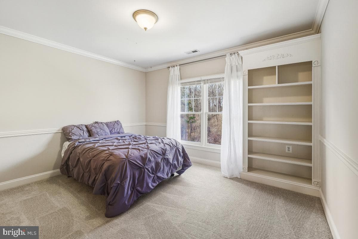 17512 Carlson Farm Court photo 46
